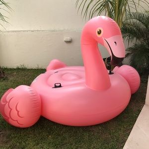 Meet your Posher, Bailey